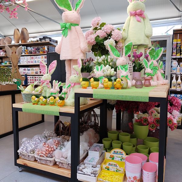 The opening - The Garden Center Il Tulipano