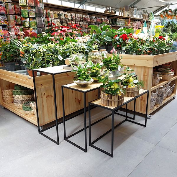 Открытие - Садовый центр Il Tulipano