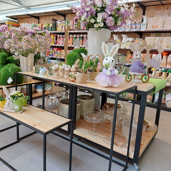 The opening - The Garden Center Il Tulipano