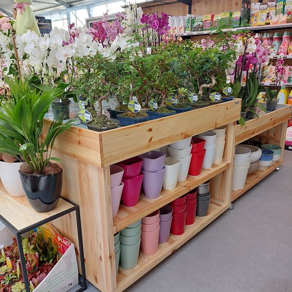 Открытие - Садовый центр Il Tulipano