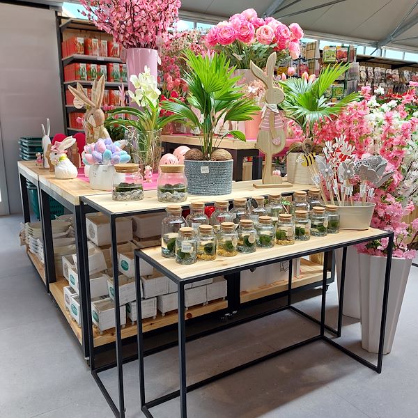 The opening - The Garden Center Il Tulipano