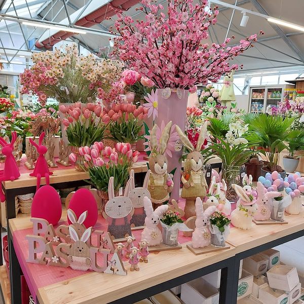 The opening - The Garden Center Il Tulipano