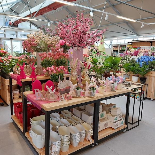 Открытие - Садовый центр Il Tulipano