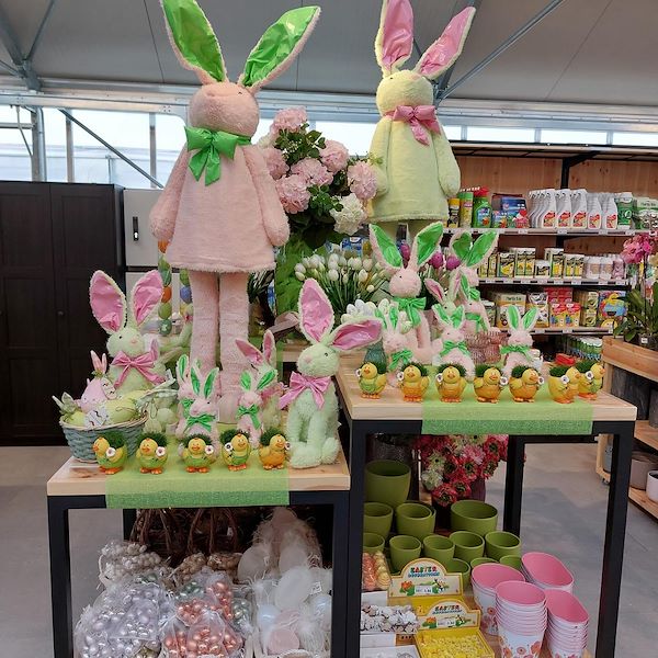 The opening - The Garden Center Il Tulipano