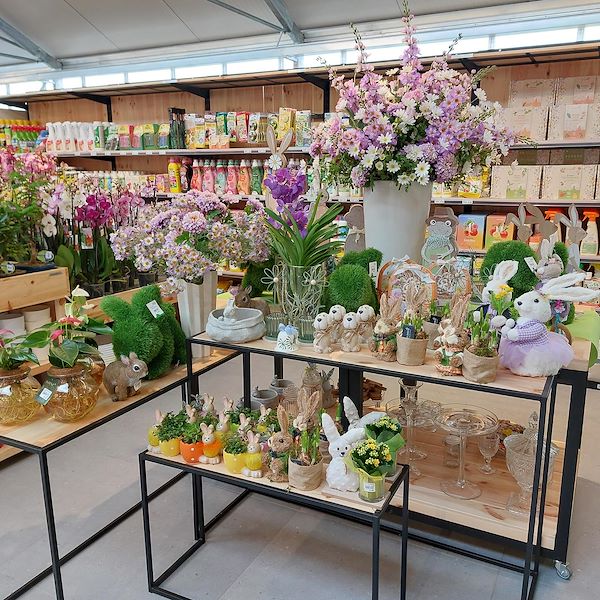 Открытие - Садовый центр Il Tulipano