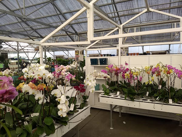 Turner Garden обновляет свой садовый центр для увеличения продаж