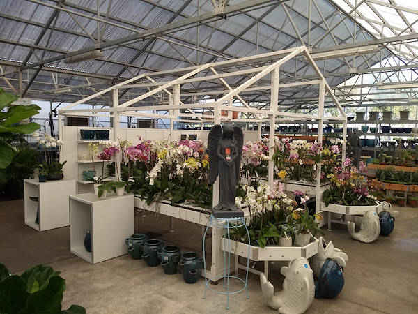 Turner Garden обновляет свой садовый центр для увеличения продаж