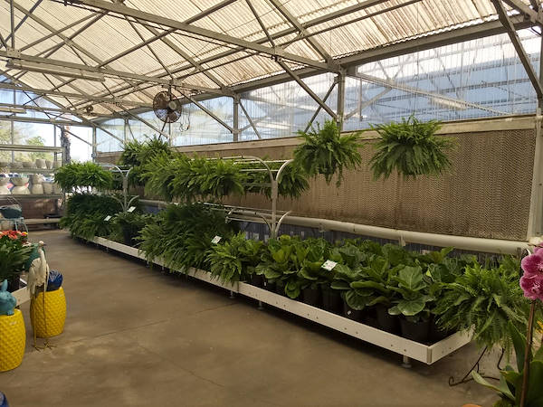 Turner Garden обновляет свой садовый центр для увеличения продаж