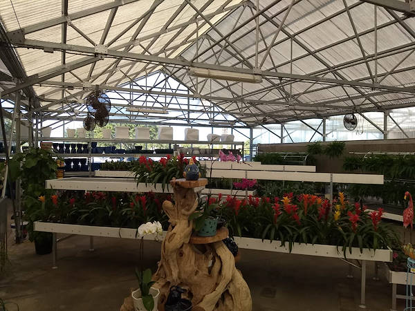 Turner Garden обновляет свой садовый центр для увеличения продаж