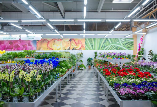 VASH SAD, the new Garden Center in Odessa
