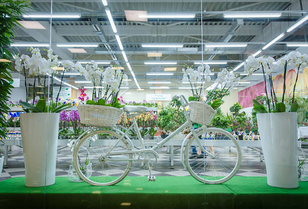 VASH SAD, the new Garden Center in Odessa