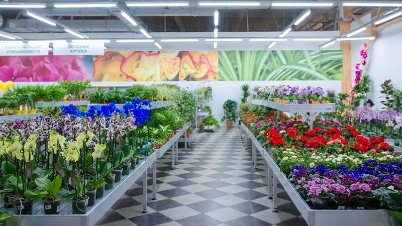 VASH SAD, the new Garden Center in Odessa
