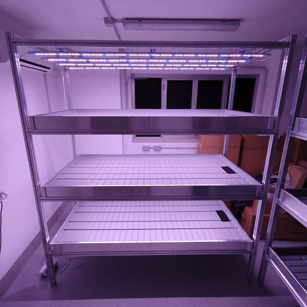 система вертикального земледелия