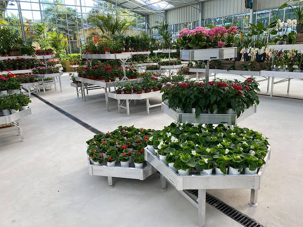 Viveros del Valle обновляет выставку растений и цветов