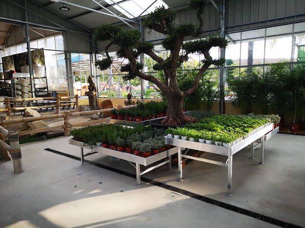 Viveros del Valle обновляет выставку растений и цветов