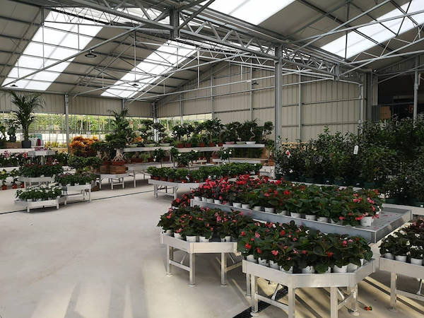 Viveros del Valle обновляет выставку растений и цветов