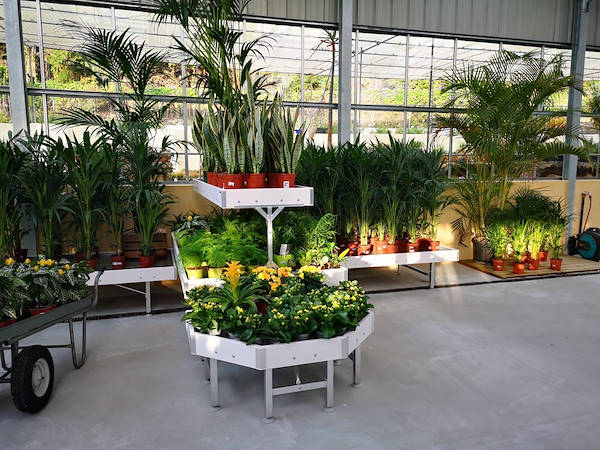 Viveros del Valle обновляет выставку растений и цветов