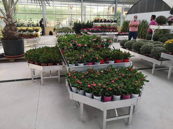Viveros del Valle обновляет выставку растений и цветов