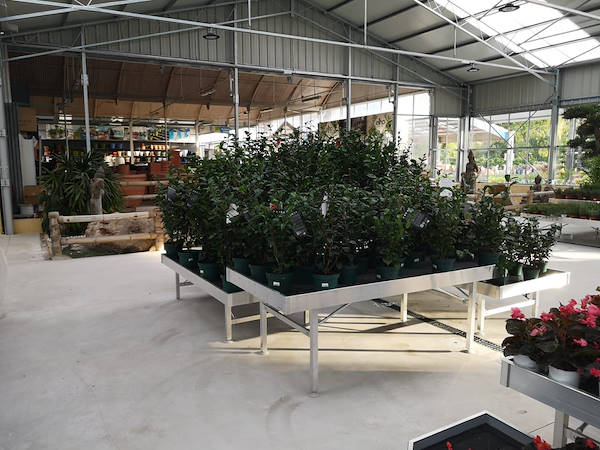 Viveros del Valle обновляет выставку растений и цветов