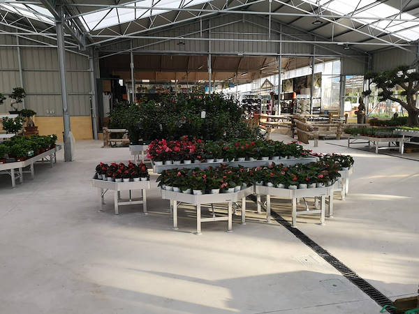 Viveros del Valle обновляет выставку растений и цветов