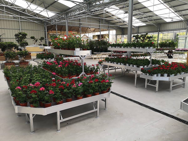Viveros del Valle обновляет выставку растений и цветов