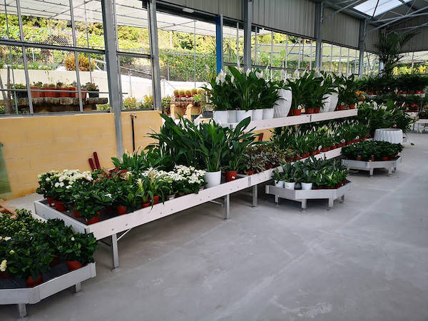 Viveros del Valle обновляет выставку растений и цветов