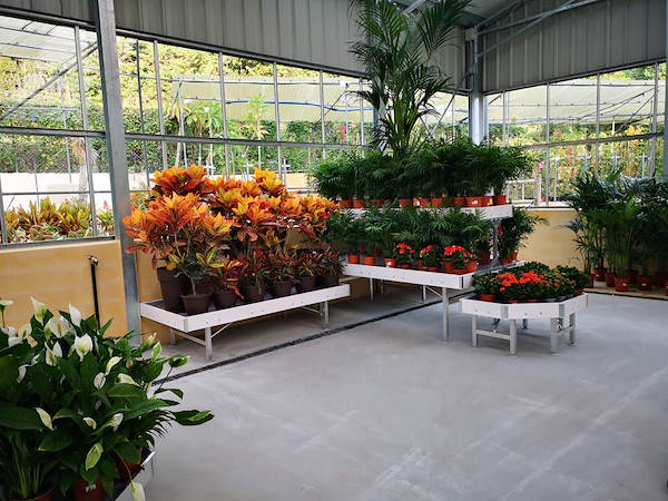 Viveros del Valle обновляет выставку растений и цветов