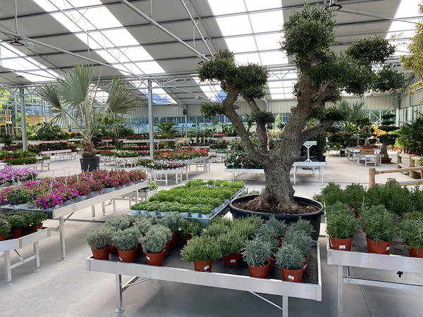 Viveros del Valle renews for plants and flowers