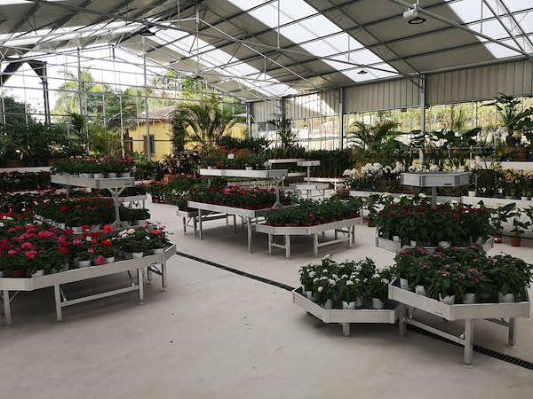 Viveros del Valle renews for plants and flowers