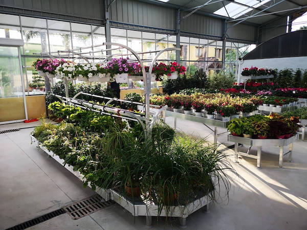 Viveros del Valle renews for plants and flowers