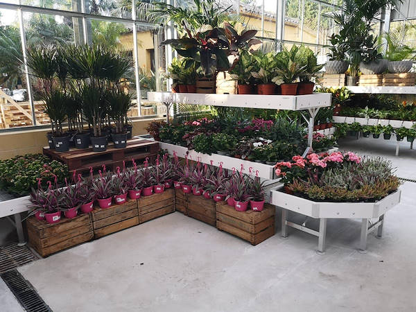 Viveros del Valle renews for plants and flowers
