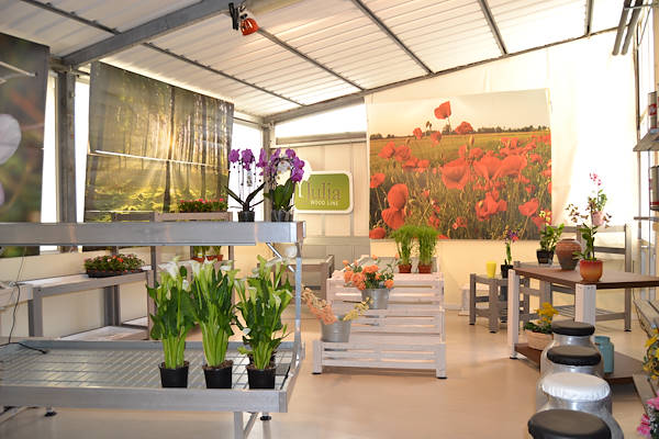 Welcome to our new showroom! 