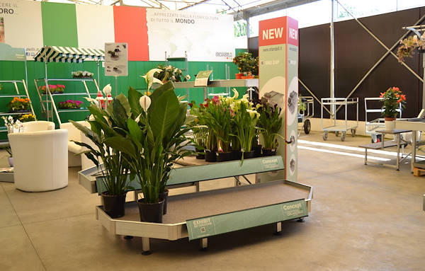 Welcome to our new showroom! 