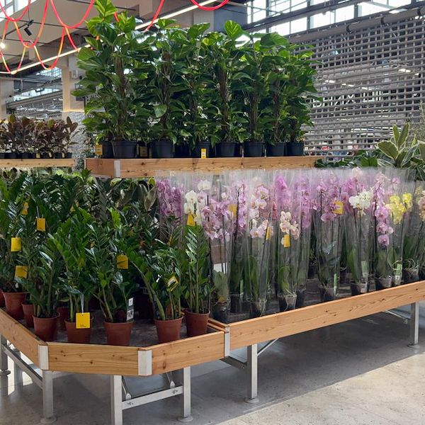 Flowered Gondola Set wood line AMOR