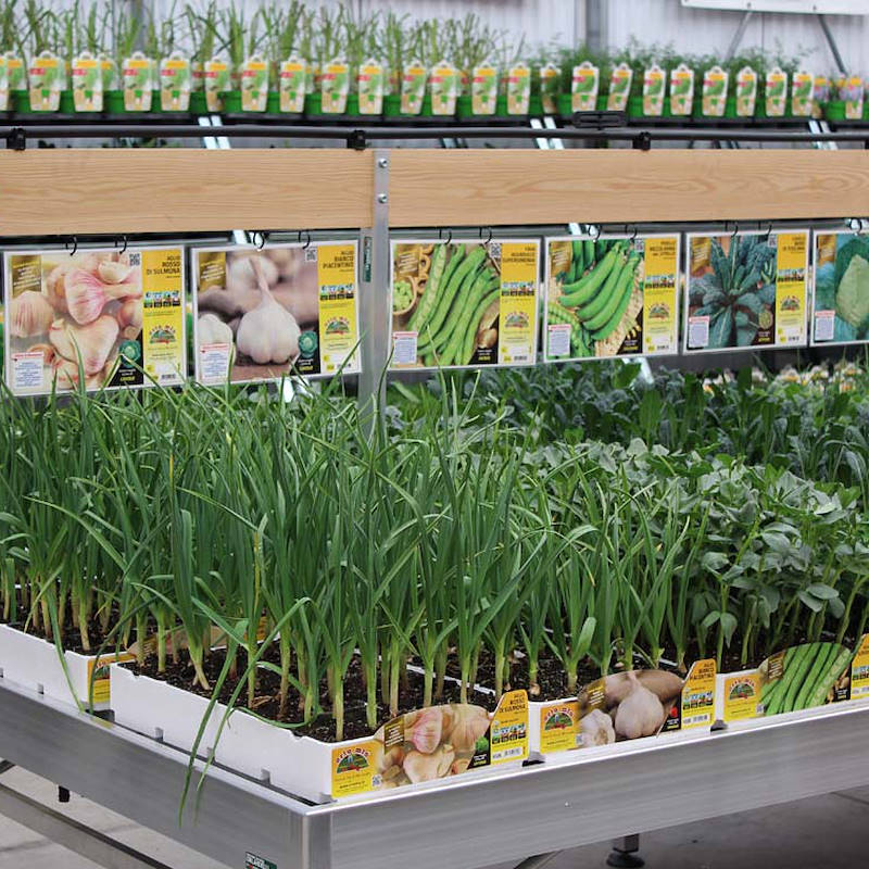 Wood cards holder with support adjustable in height