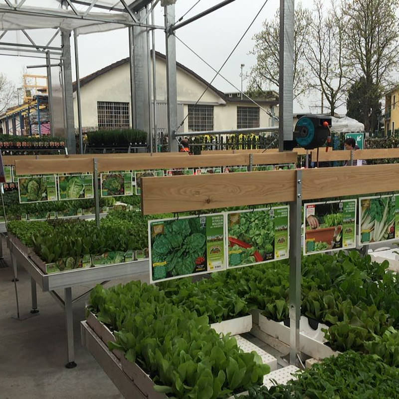 Wood cards holder with support adjustable in height