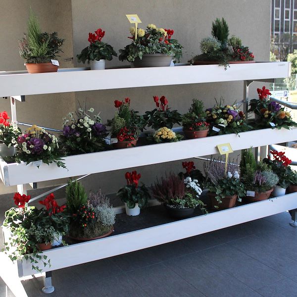 Wood wall bench line AMOR