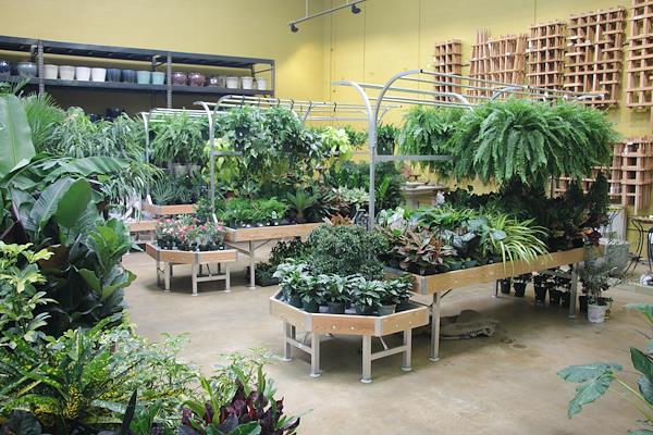 Bancale AMOR con Porta Basket + End Cap