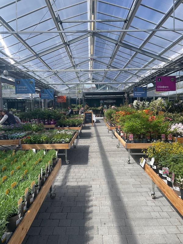 Caricamento massivo 2025-09-25 / 11