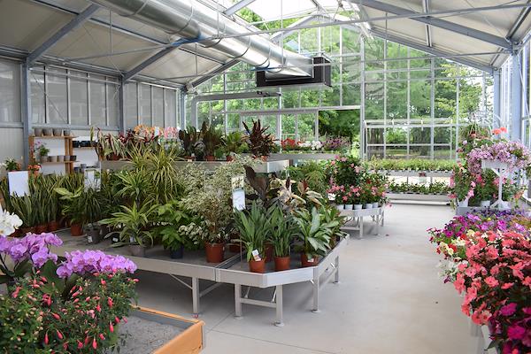 Caricamento massivo 2025-09-25 / 13