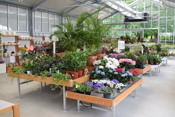 Caricamento massivo 2025-09-25 / 14