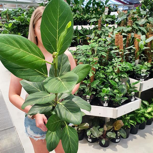 Caricamento massivo 2025-09-25 / 2