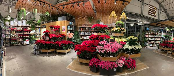 Caricamento massivo 2025-09-25 / 49