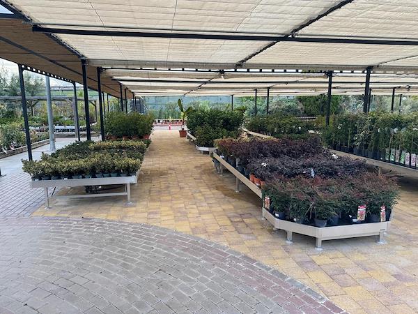 Caricamento massivo 2025-09-25 / 55