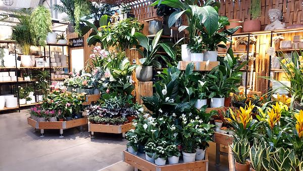 Caricamento massivo 2025-09-25 / 57